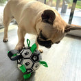 Charger l'image dans la visionneuse de la galerie, Football interactif pour chiens
