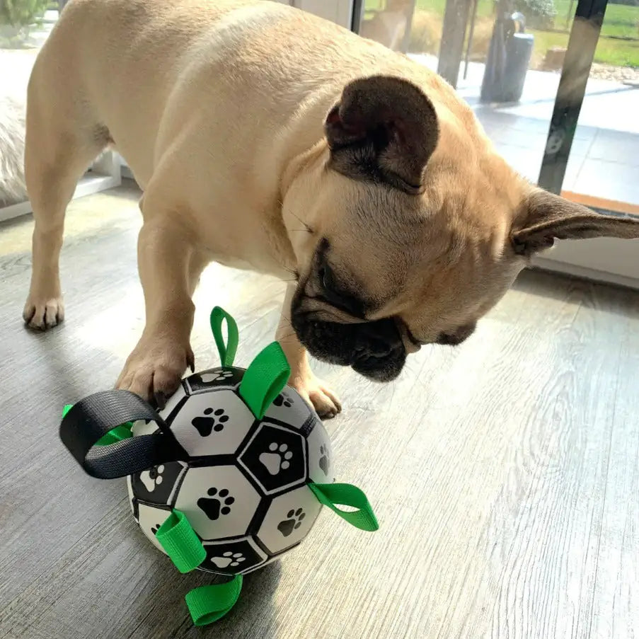 Football interactif pour chiens
