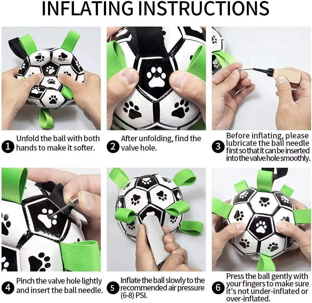 Football interactif pour chiens