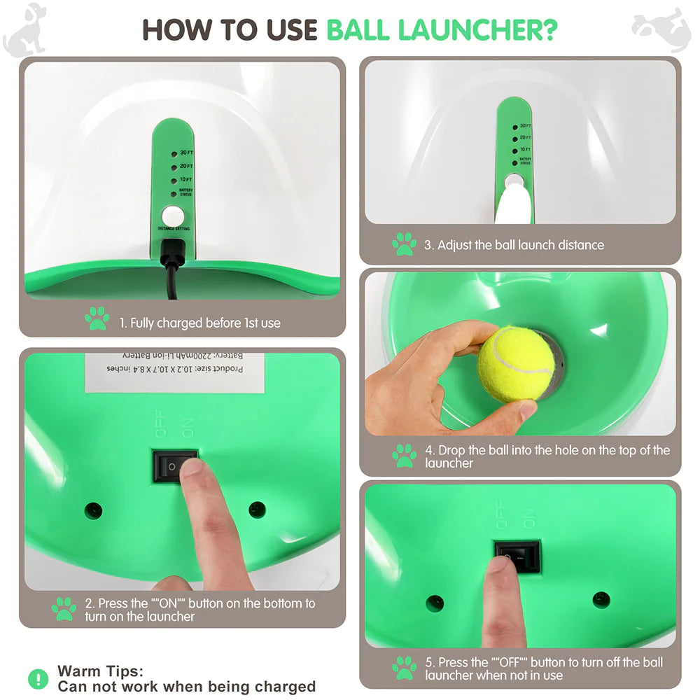 Lanceur automatique de balles pour animaux de compagnie, jouet d'extérieur, lanceur de tennis pour chiens, outil de promenade pour chiens