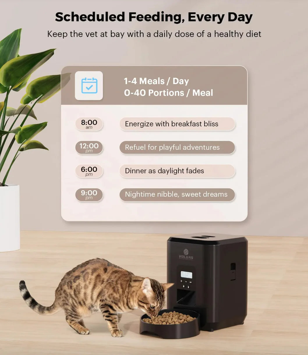 Distributeur automatique intelligent pour animaux de compagnie