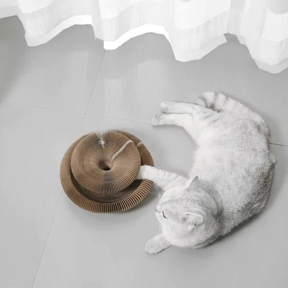 Jouet griffoir pour chat en accordéon