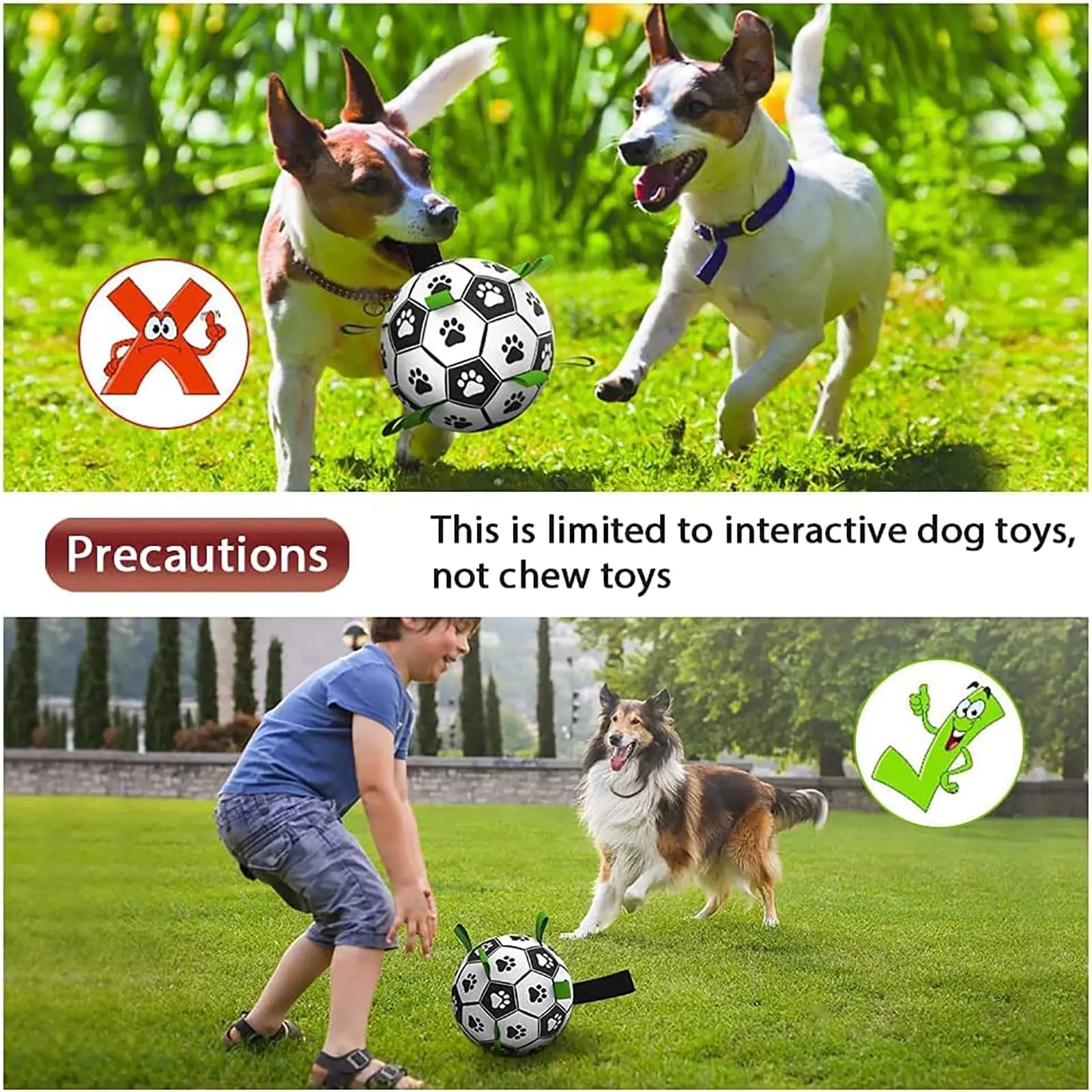 Football interactif pour chiens