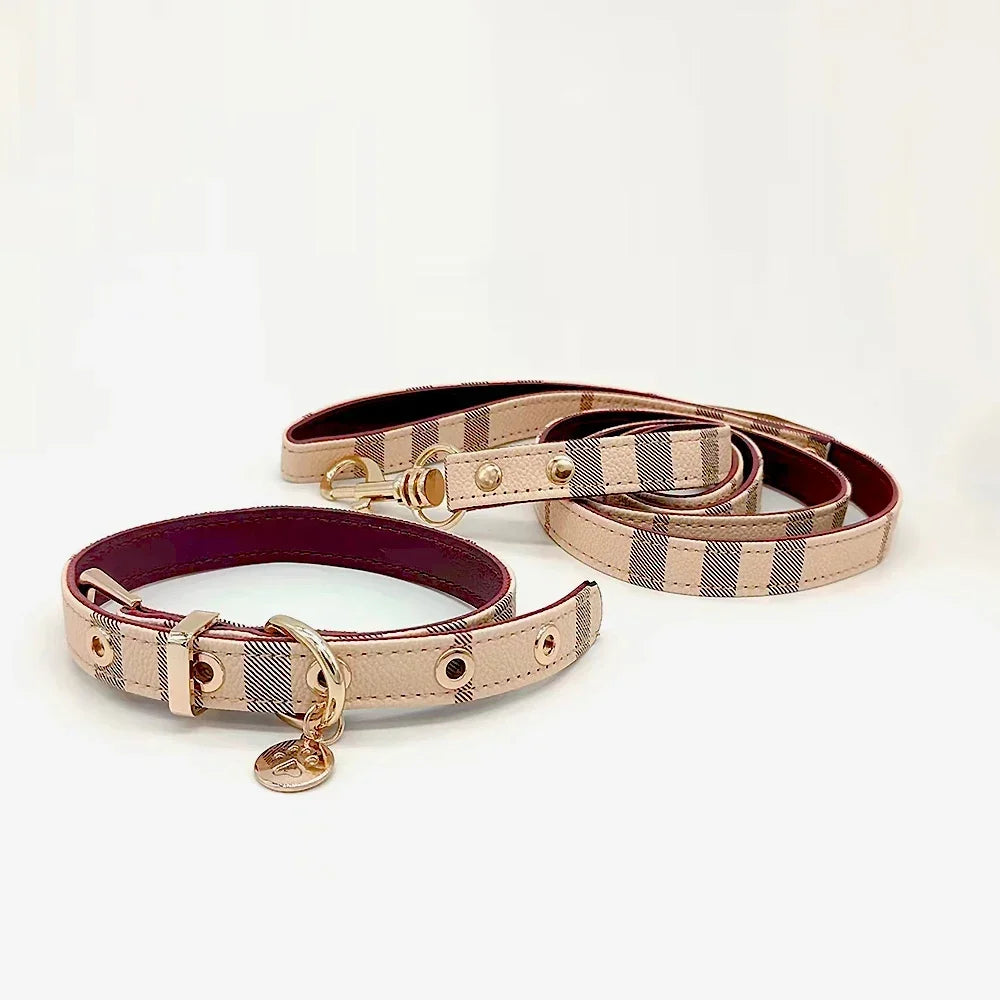 Ensemble collier et laisse en cuir pour animaux de compagnie